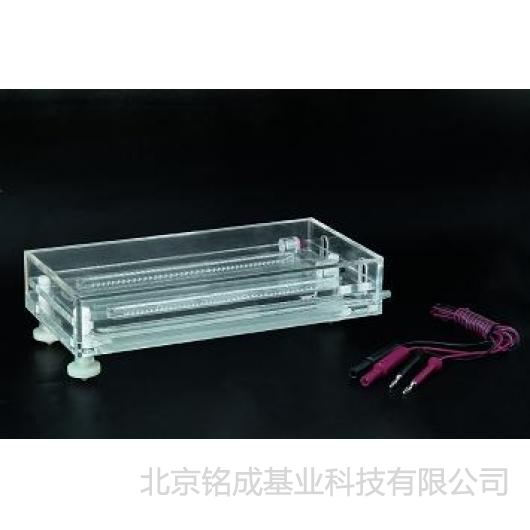 北京六一-等电聚焦电泳槽DYCP-36